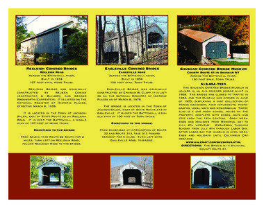 Bridge Brochure