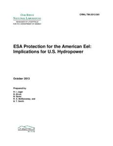 Ichthyology / Amphibious fish / American eel / Fauna of the United States / Eel life history / Glass eels / Hydroelectricity / Eel / European eel / Fish / Anguillidae / Anguilliformes