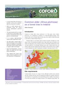 Reproductive Material No. 8   In recent years there has been an increase in the use of common alder as a forest tree in Ireland.