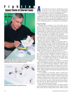 F i g h t i n g Insect Pests of Stored Foods PEGGY GREB (K9724-1) Entomologist Mike Mullen checks pheromone traps for captured Indianmeal moths as part of a program to develop an effective