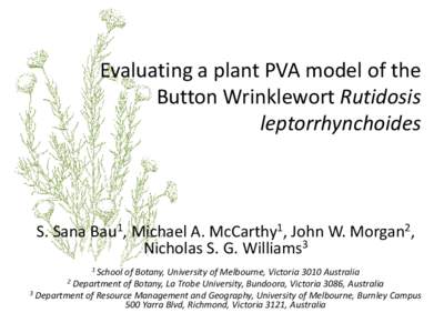 Flora of Australia / Biology / Environment of Australia / Population viability analysis / Asteraceae / Rutidosis / Abundance