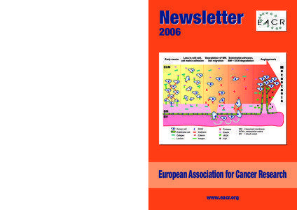 Newsletter 2006