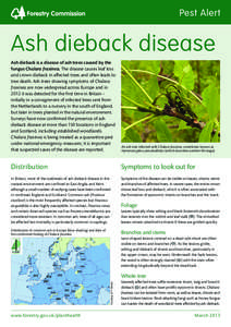 Pest Alert  Ash dieback disease Ash dieback is a disease of ash trees caused by the fungus Chalara fraxinea. The disease causes leaf loss and crown dieback in affected trees and often leads to