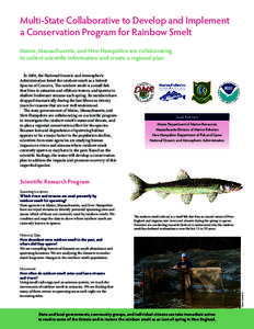 Multi-State Collaborative to Develop and Implement a Conservation Program for Rainbow Smelt Maine, Massachusetts, and New Hampshire are collaborating to collect scientific information and create a regional plan In 2004, 