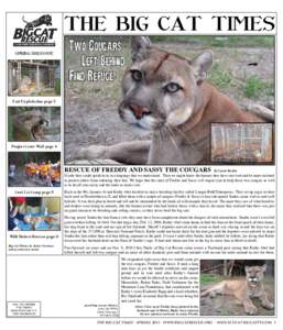 THE BIG CAT TIMES SPRING 2011 issue Two Cougars Left Behind Find Refuge