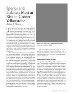 Species and Habitats Most at Risk in Greater Yellowstone Andrew J. Hansen