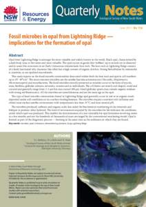 Quarterly   Notes Geological Survey of New South Wales June 2011 No 136  Fossil microbes in opal from Lightning Ridge —