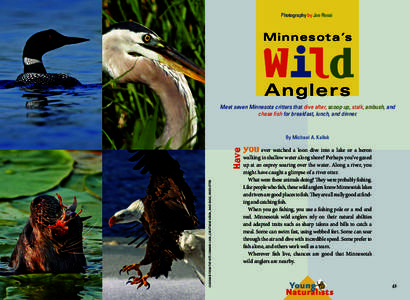 Photography by Joe Rossi  Minnesota’s Wild An g le rs