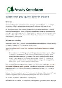 Evidence for grey squirrel policy in England Overview As one of the key people / organisations we work with on grey squirrels in England, we are asking for your evidence to help us decide whether we need to evolve Govern