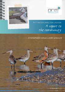 pitt water orielton lagoon  A report to the community  A remarkable estuary under pressure