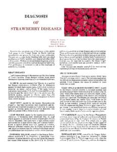 DIAGNOSIS OF STRAWBERRY DISEASES Charles W. Averre William 0. Cline