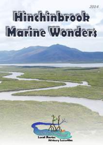 Australian National Heritage List / Great Barrier Reef / Far North Queensland / Hinchinbrook Island / Hinchinbrook Channel / Goold Island National Park / Coral reef / Brook Islands National Park / Green sea turtle / States and territories of Australia / Geography of Australia / Geography of Queensland