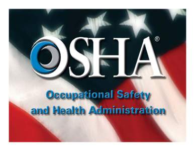 Microsoft PowerPoint - William  Burke - OSHA Region VI Deputy Administrator.ppt