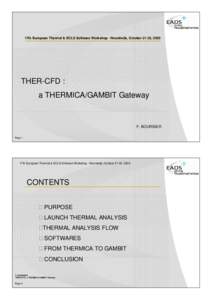 17th European Thermal & ECLS Software Workshop - Noordwijk, October 21-22, 2003  THER-CFD : a THERMICA/GAMBIT Gateway  F. BOURSIER