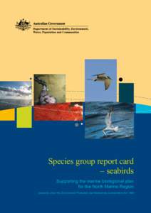 Arnhem Land / Sterna / Seabirds / Tern / Seagull Island / Sandy Island and Low Rock Important Bird Area / Birds of Australia / Birds of Western Australia / Thalasseus