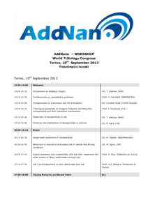 AddNano – WORKSHOP World Tribology Congress Torino, 10th September 2013 Palaolimpico Isozaki  Torino, 10th September 2013