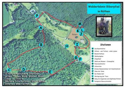 Der „Walderlebnis Biberpfad“ in Rüthen mit seiner Gesamtlänge von 2,3 km und 17 Stationen zum Thema Wald, Wasser