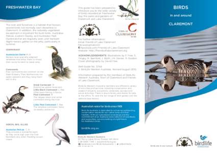 Singing Honeyeater / Nankeen Night Heron / Western Wattlebird / New Holland Honeyeater / Canning River Regional Park / Birds of Boigu /  Saibai and Dauan Islands / Birds of Australia / Birds of Western Australia / Cormorant