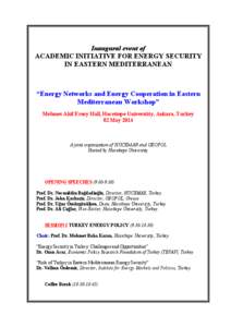 Inaugural event of ACADEMIC INITIATIVE FOR ENERGY SECURITY IN EASTERN MEDITERRANEAN “Energy Networks and Energy Cooperation in Eastern Mediterranean Workshop”