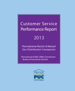 Customer Service Performance Report 2013 Pennsylvania Electric & Natural Gas Distribution Companies