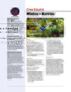 Cree EduKit  Mînisa > Berries Importance of berries to the Cree people Mînisa is the Cree word for ‘berries.’