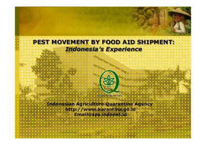 PEST MOVEMENT BY FOOD AID SHIPMENT: Indonesia ’s Experience Indonesia’s  Indonesian Agriculture Quarantine Agency