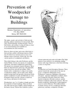 Prevention of Woodpecker Damage to Buildings Montana Department of Agriculture P.O. Box[removed]