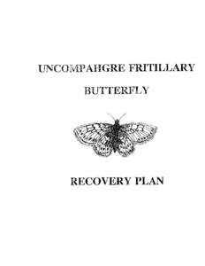 UNC0MP AHGRE FRITILLARY BUTTERFLY RECOVERY PLAN  UNCOMPAHGRE FRITILLARY BUTTERFLY