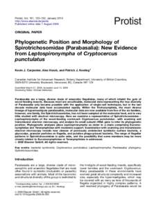 Phylogenetic Position and Morphology of Spirotrichosomidae (Parabasalia) New Evidence from Leptospironympha of Cryptocercus punctulatus