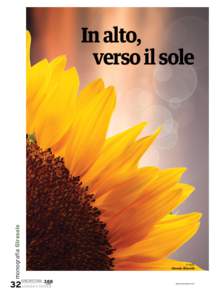 monografia Girasole  In alto, verso il sole  credit