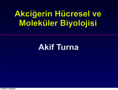 Akciğerin Hücresel ve Moleküler Biyolojisi Akif Turna 30 Kasım 11 Çarşamba