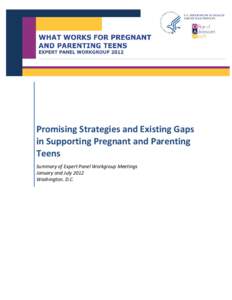 Promising Strategies and Existing Gaps in Supporting Pregnant and Parenting Teens Summary of Expert Panel Workgroup Meetings January and July 2012 Washington, D.C.