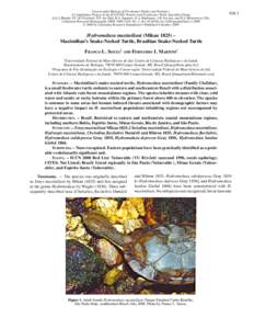 Hydromedusa maximiliani (Mikan 1825) – Maximilian’s Snake-Necked Turtle, Brazilian Snake-Necked Turtle