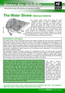 Wetland / Suncus / Arctic Shrew / Mammals of the Indiana Dunes / Fauna of Europe / Sorex / Shrew