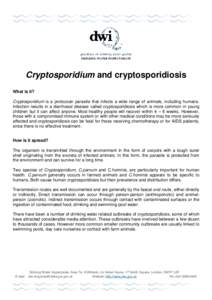 DRINKING WATER INSPECTORATE  Cryptosporidium and cryptosporidiosis What is it? Cryptosporidium is a protozoan parasite that infects a wide range of animals, including humans. Infection results in a diarrhoeal disease cal