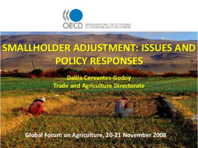 SMALLHOLDER ADJUSTMENT: ISSUES AND POLICY RESPONSES Dalila Cervantes-Godoy Trade and Agriculture Directorate  Global Forum on Agriculture, 20-21 November 2008