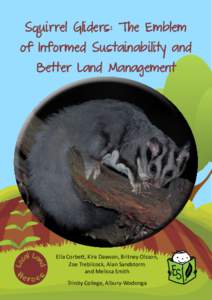 Squirrel Gliders: The Emblem  of Informed Sustainability and Better Land Management  Ella Corbett, Kira Dawson, Britney Olsson,