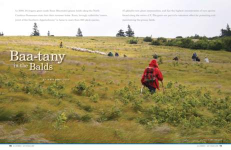 Lebanon Mountain Trail / Sport in Lebanon / Appalachian balds / Appalachian Trail / Goat / Roan Mountain / Browse / Geography of the United States / United States / Appalachian Mountains