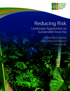 ii |  Reducing Risk: Landscape Approaches to Sustainable Sourcing  Author André Brasser, Beagle Sustainability Solutions  Acknowledgements