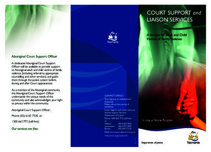 Court support and liaison services