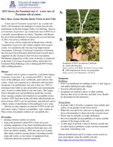2013 Survey for Fusarium race 4 – a new race of Fusarium wilt of cotton A.  Mary Olsen, Ayman Mostafa, Randy Norton & Kurt Nolte