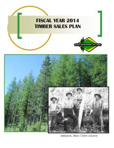 FISCAL YEAR 2014 TIMBER SALES PLAN Sandpoint, Idaho Timber Industry  IDAHO DEPARTMENT OF LANDS FY14 TIMBER SALE PLAN