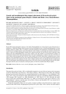 Genetic and morphological data support placement of Myrmotherula gularis Spix) in the monotypic genus Rhopias Cabanis and Heine (Aves: Passeriformes: Thamnophilidae)