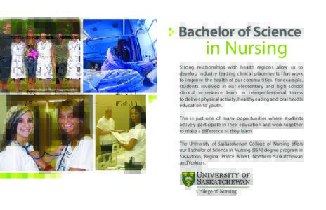 Bachelor of Science  in Nursing International clinical opportunities