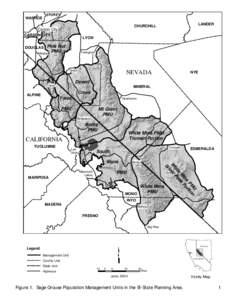 STOREY  WASHOE LANDER  CHURCHILL