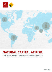 NATURAL CAPITAL AT RISK:  THE TOP 100 EXTERNALITIES OF BUSINESS APRIL 2013