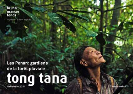 bruno manser fonds respectons la forêt tropicale  Les Penan: gardiens
