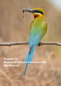 Chapter 14 Matters of national environmental significance Chapter 14: Matters of National Environmental Significance