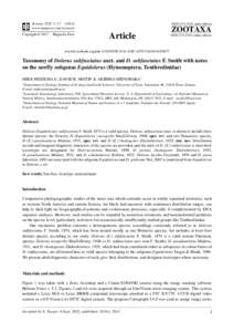 Taxonomy of Dolerus subfasciatus auct. and D. subfasciatus F. Smith with notes on the sawfly subgenus Equidolerus (Hymenoptera, Tenthredinidae)