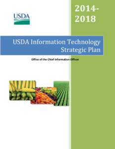 USDA Information Technology Strategic Plan
